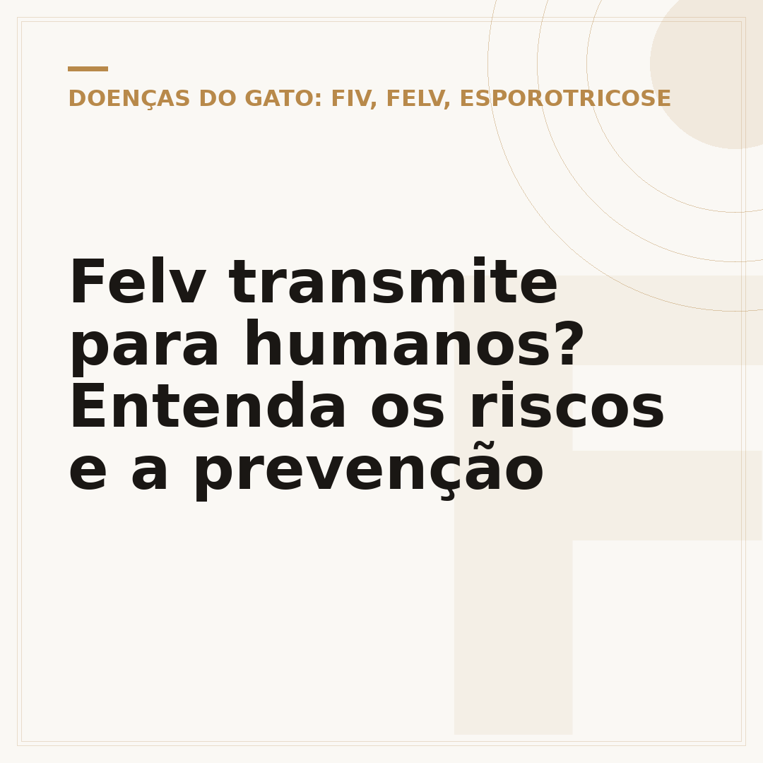 Felv transmite para humanos? Entenda os riscos e a prevenção