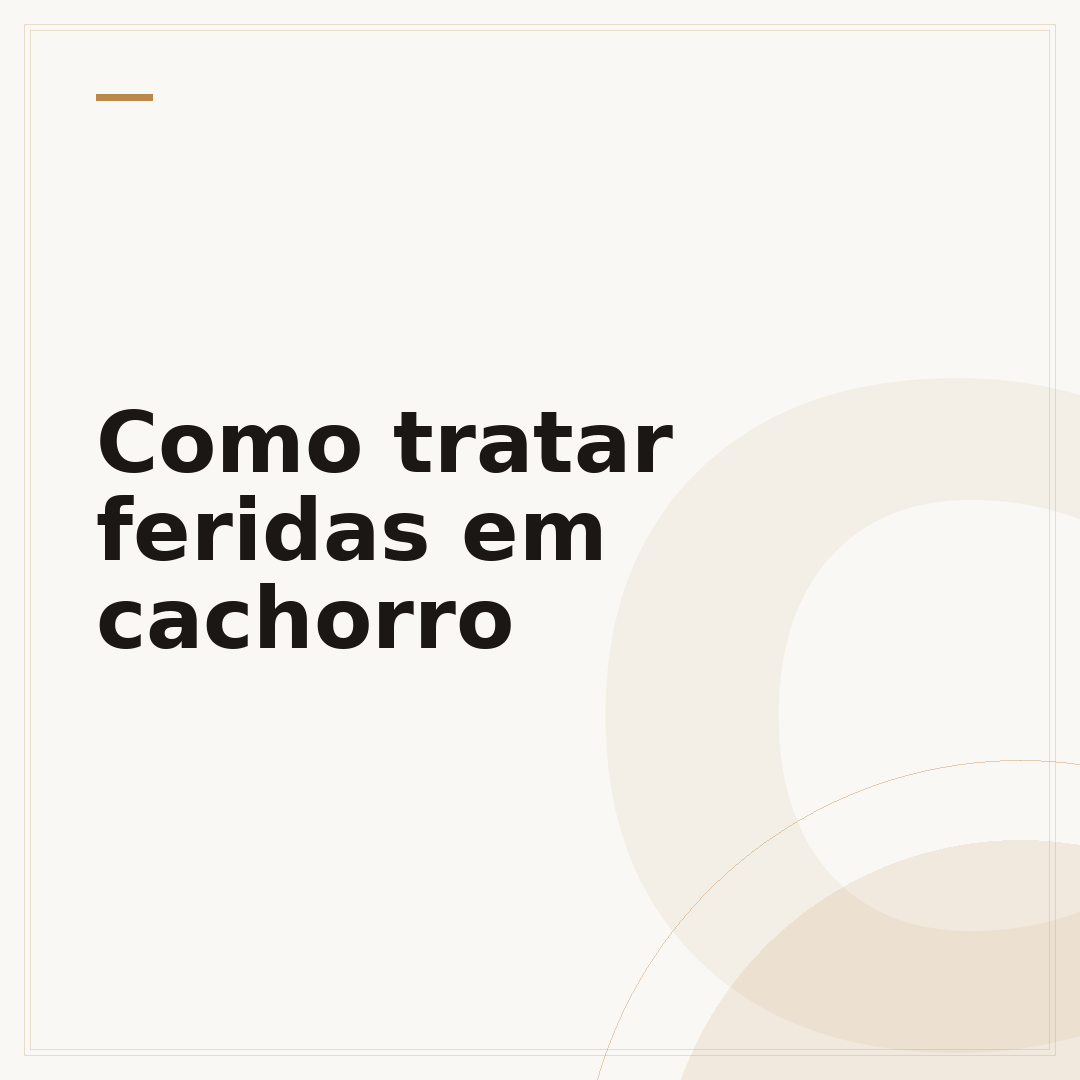 Como tratar feridas em cachorro