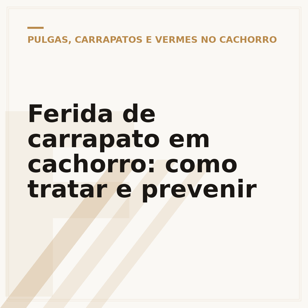 Ferida de carrapato em cachorro: como tratar e prevenir