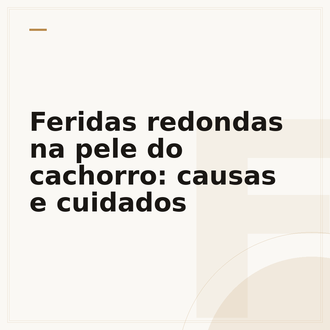 Feridas redondas na pele do cachorro: causas e cuidados