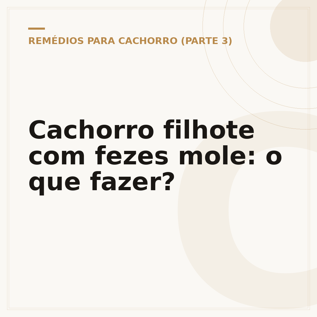 Cachorro filhote com fezes mole: o que fazer?