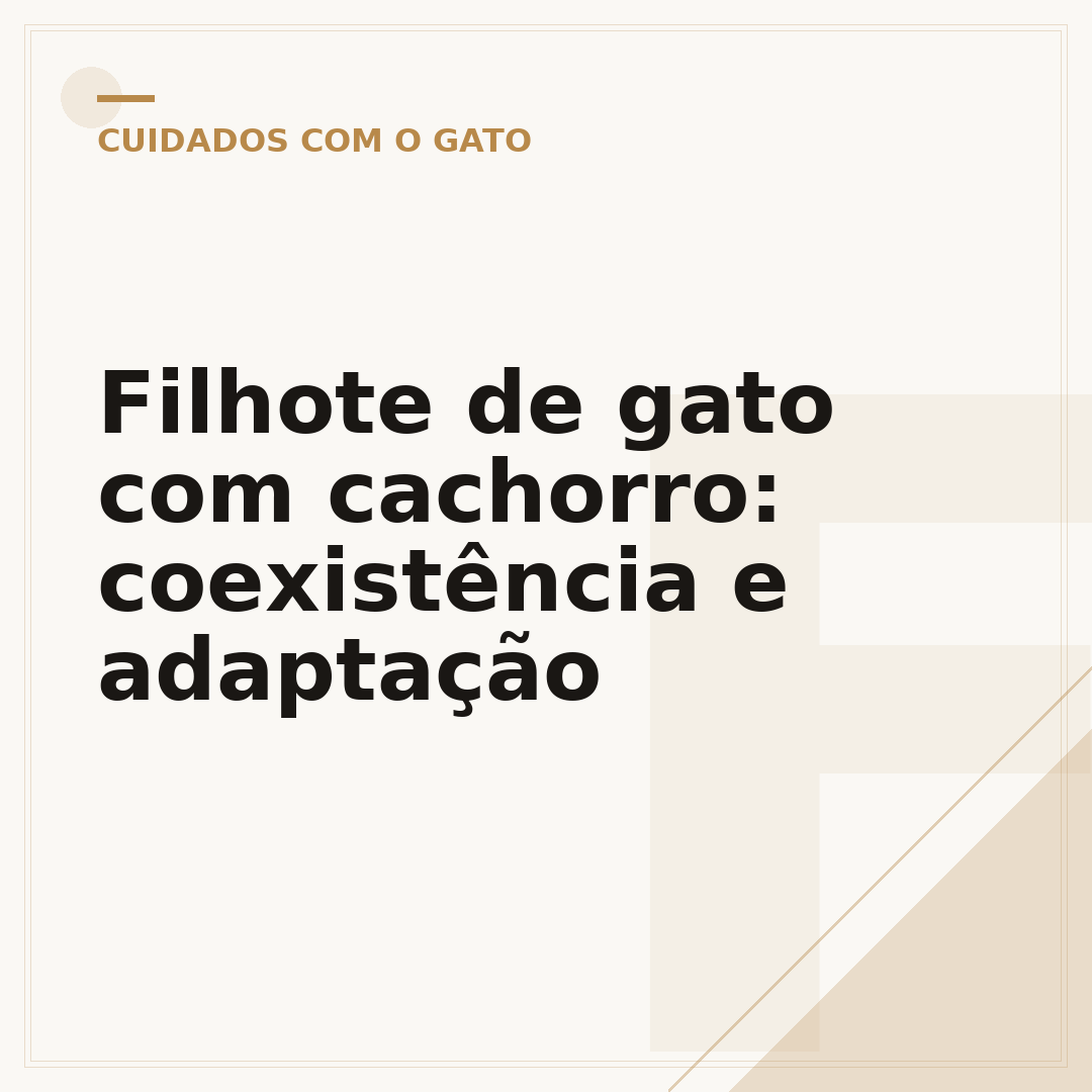Filhote de gato com cachorro: coexistência e adaptação