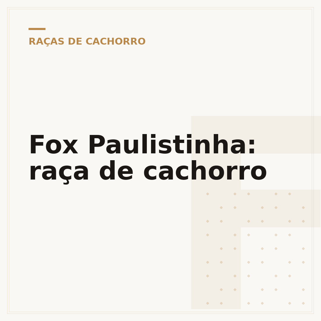 Fox Paulistinha: raça de cachorro