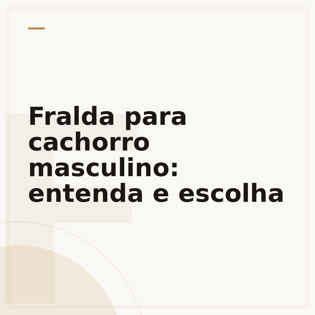 Fralda para cachorro masculino: entenda e escolha