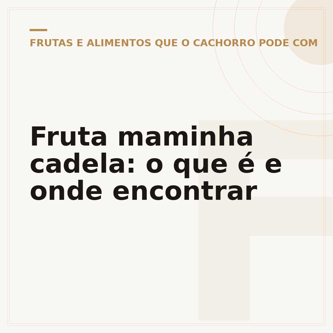Fruta maminha cadela: o que é e onde encontrar