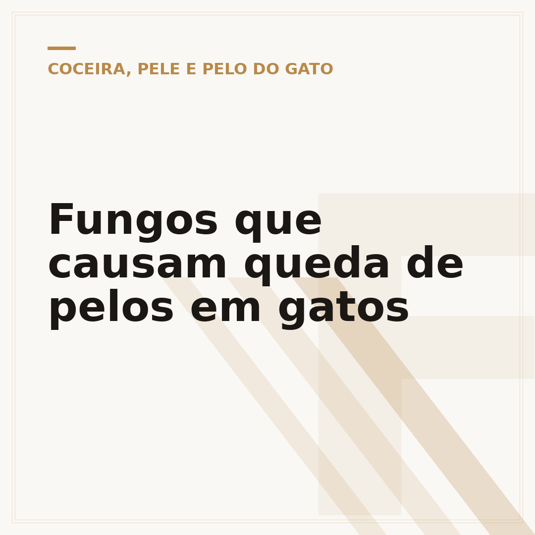 Fungos que causam queda de pelos em gatos