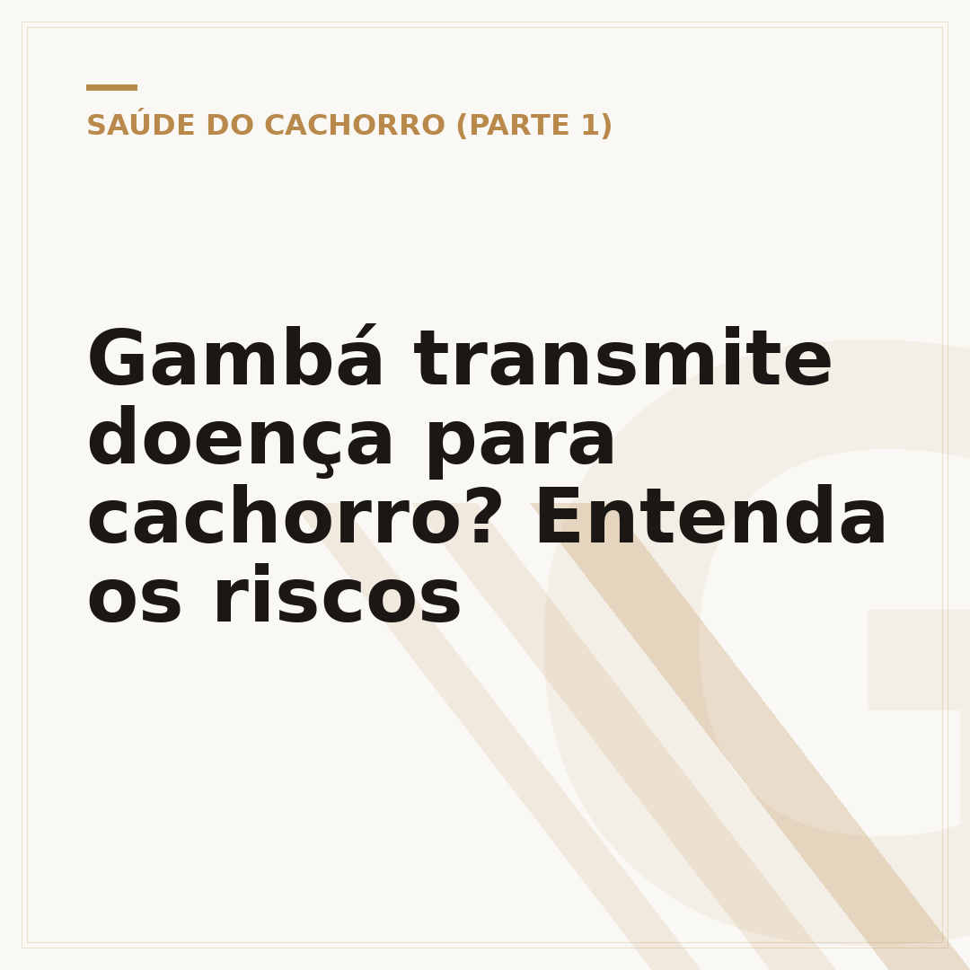Gambá transmite doença para cachorro? Entenda os riscos