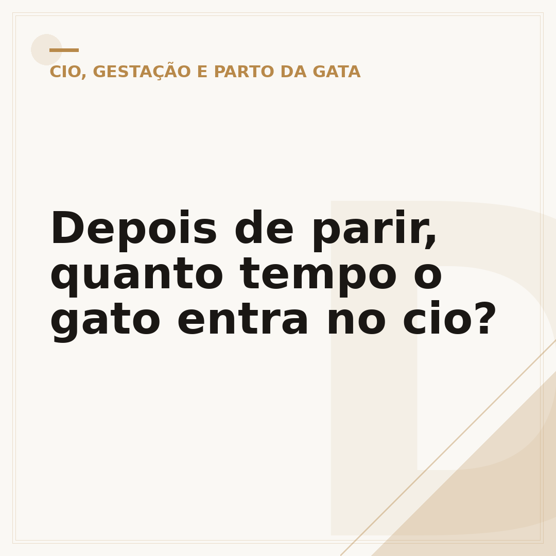Depois de parir, quanto tempo o gato entra no cio?