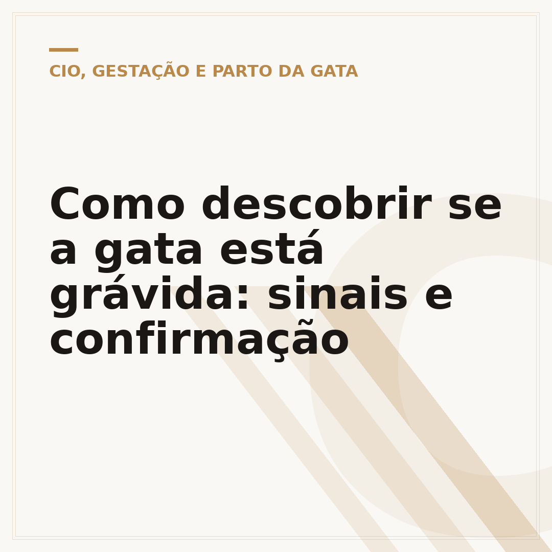 Como descobrir se a gata está grávida: sinais e confirmação