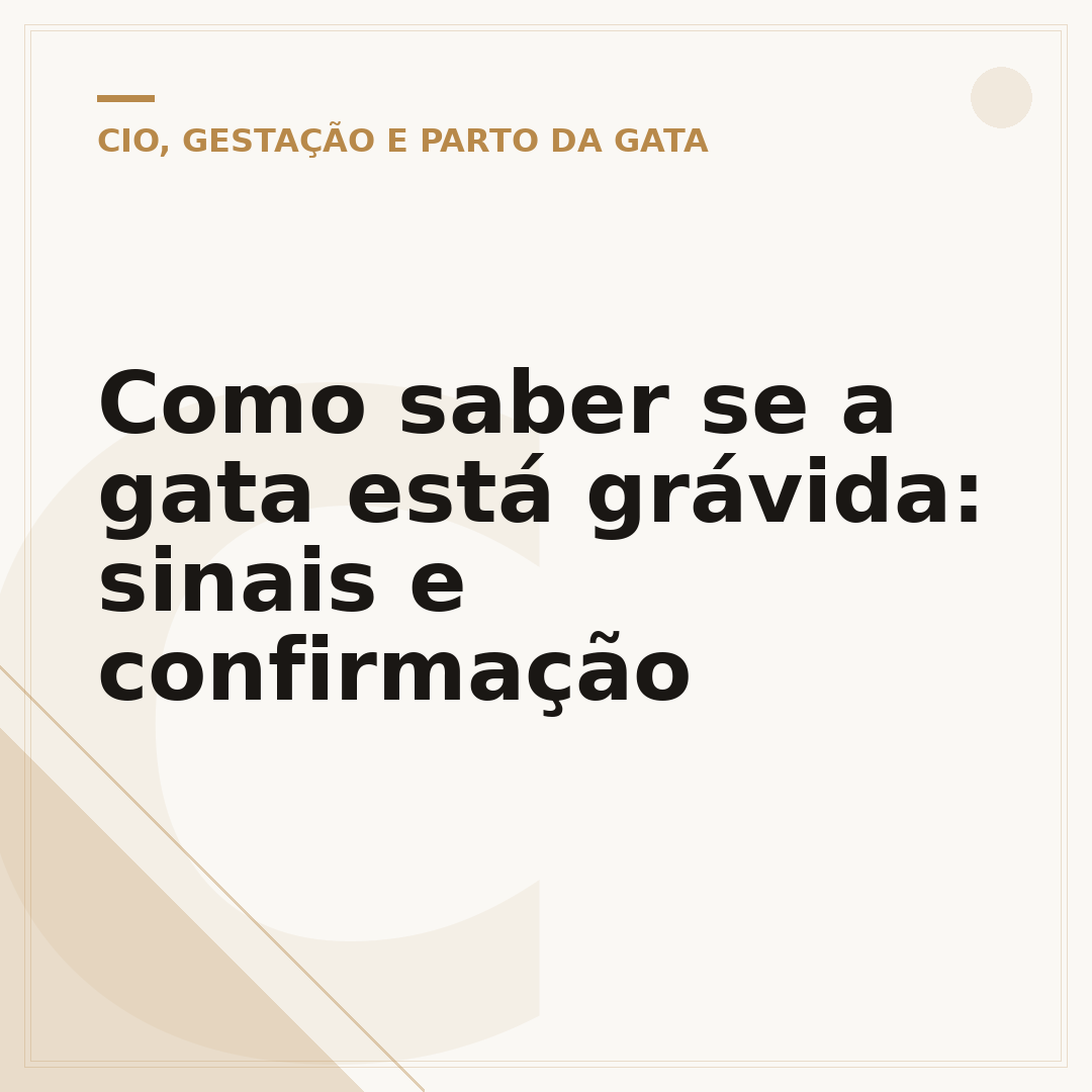 Como saber se a gata está grávida: sinais e confirmação
