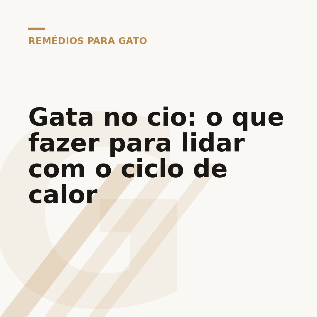 Gata no cio: o que fazer para lidar com o ciclo de calor