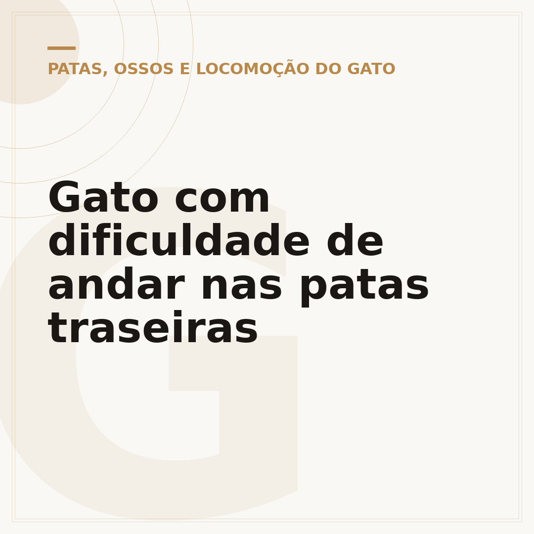 Gato com dificuldade de andar nas patas traseiras
