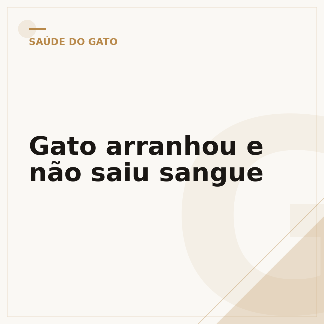 Gato arranhou e não saiu sangue