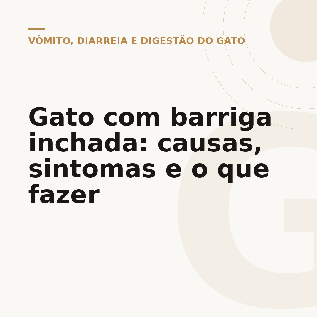 Gato com barriga inchada: causas, sintomas e o que fazer
