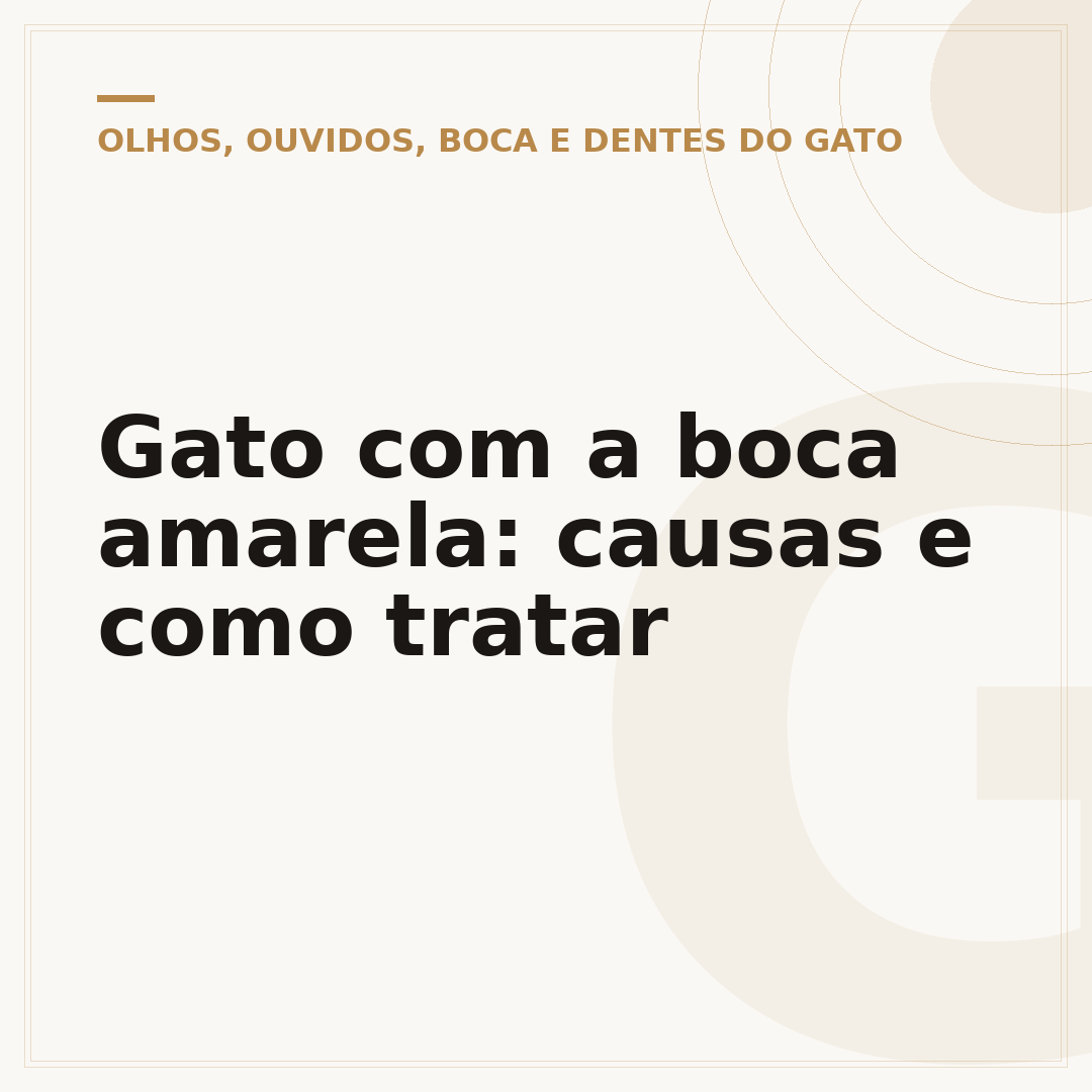 Gato com a boca amarela: causas e como tratar