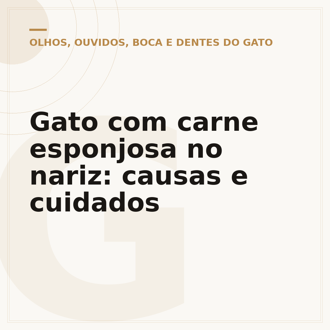 Gato com carne esponjosa no nariz: causas e cuidados