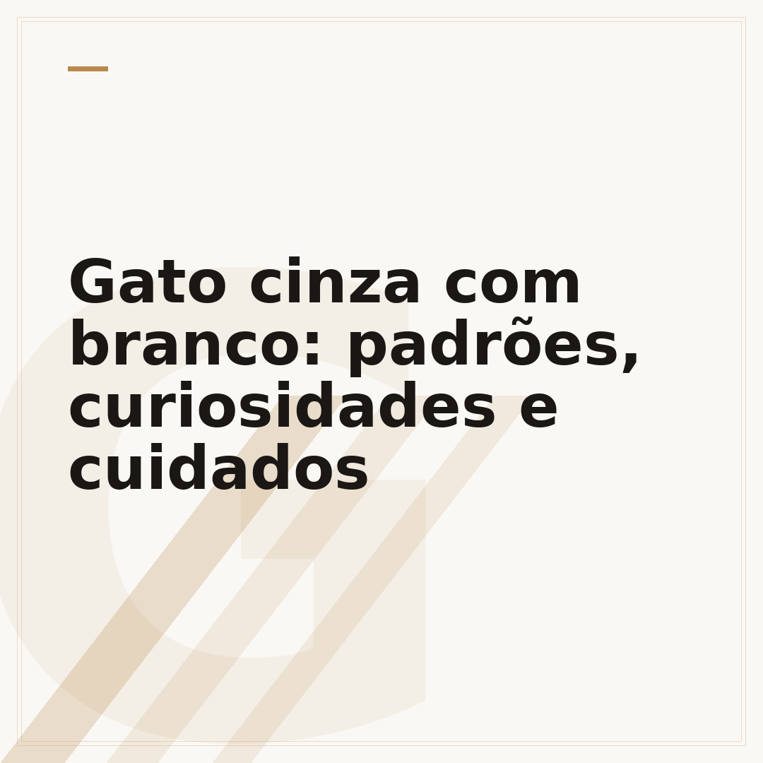 Gato cinza com branco: padrões, curiosidades e cuidados