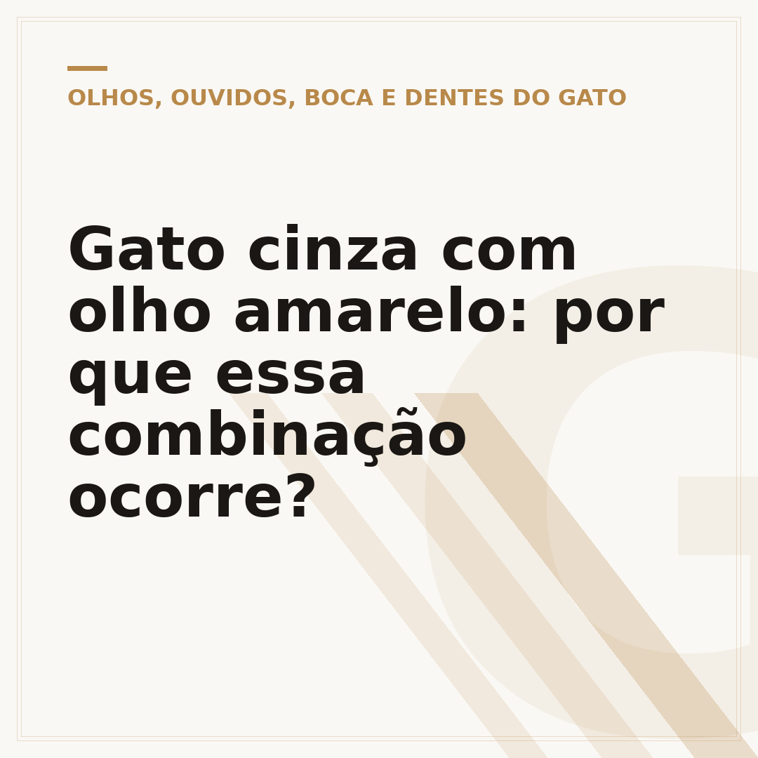 Gato cinza com olho amarelo: por que essa combinação ocorre?