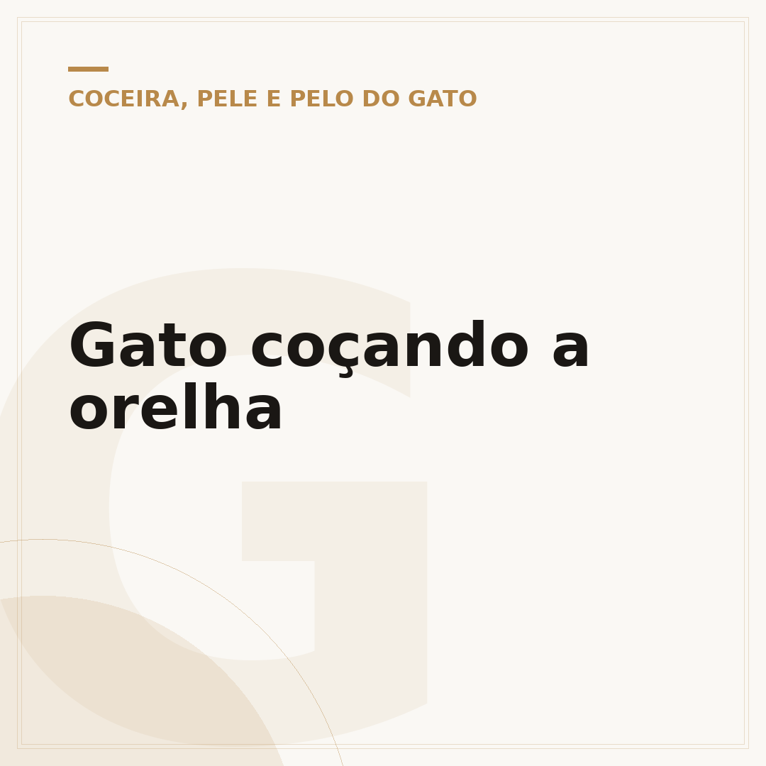 Gato coçando a orelha