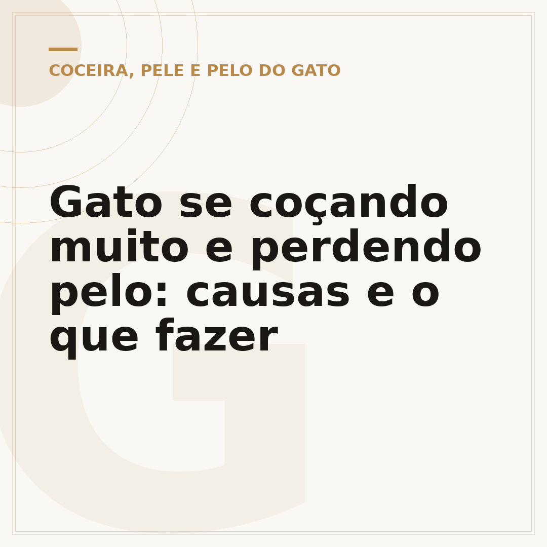 Gato se coçando muito e perdendo pelo: causas e o que fazer