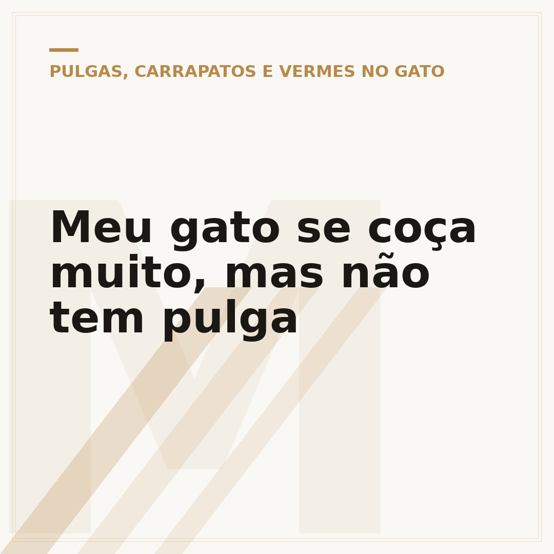 Meu gato se coça muito, mas não tem pulga
