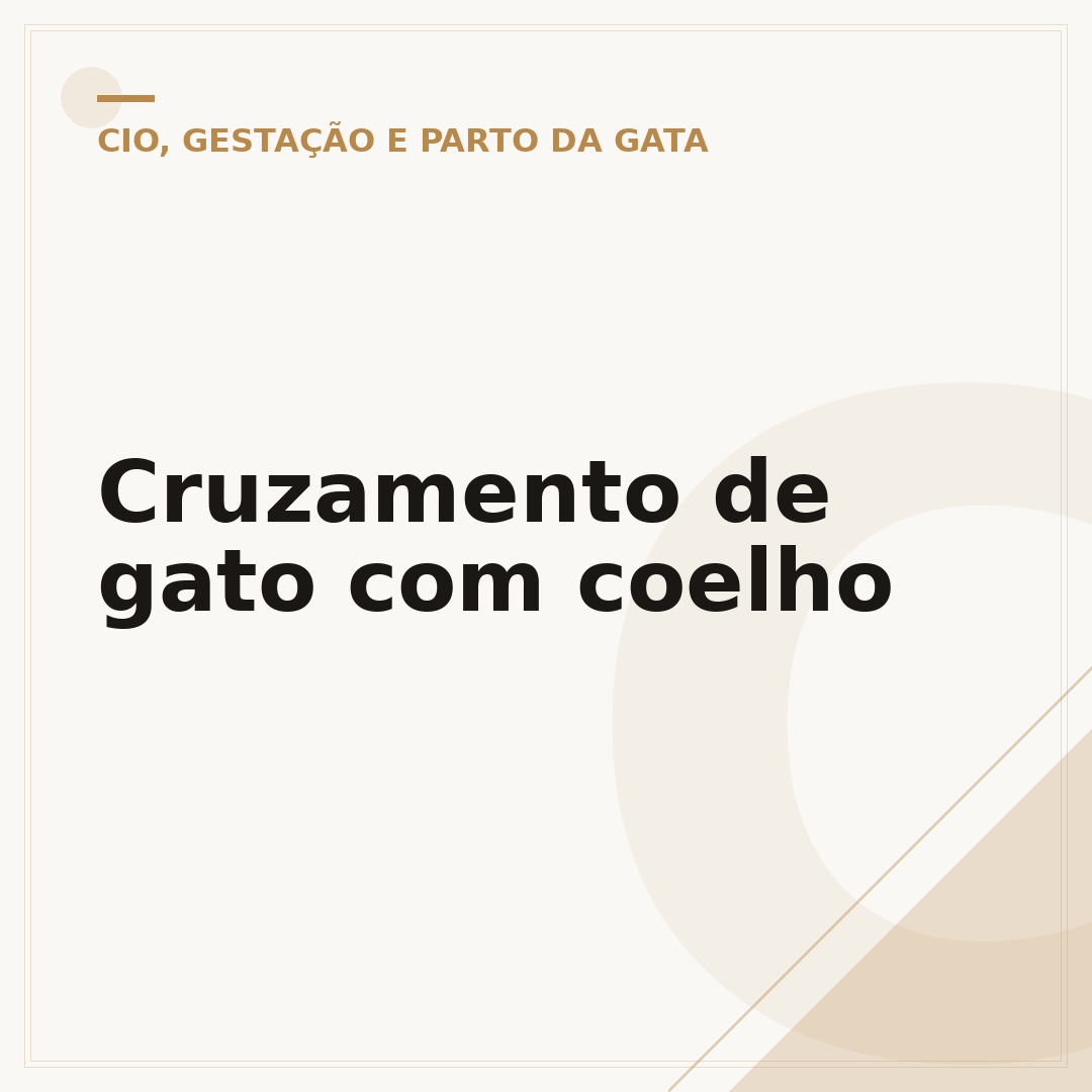 Cruzamento de gato com coelho