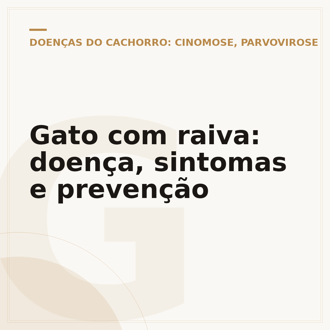 Gato com raiva: doença, sintomas e prevenção