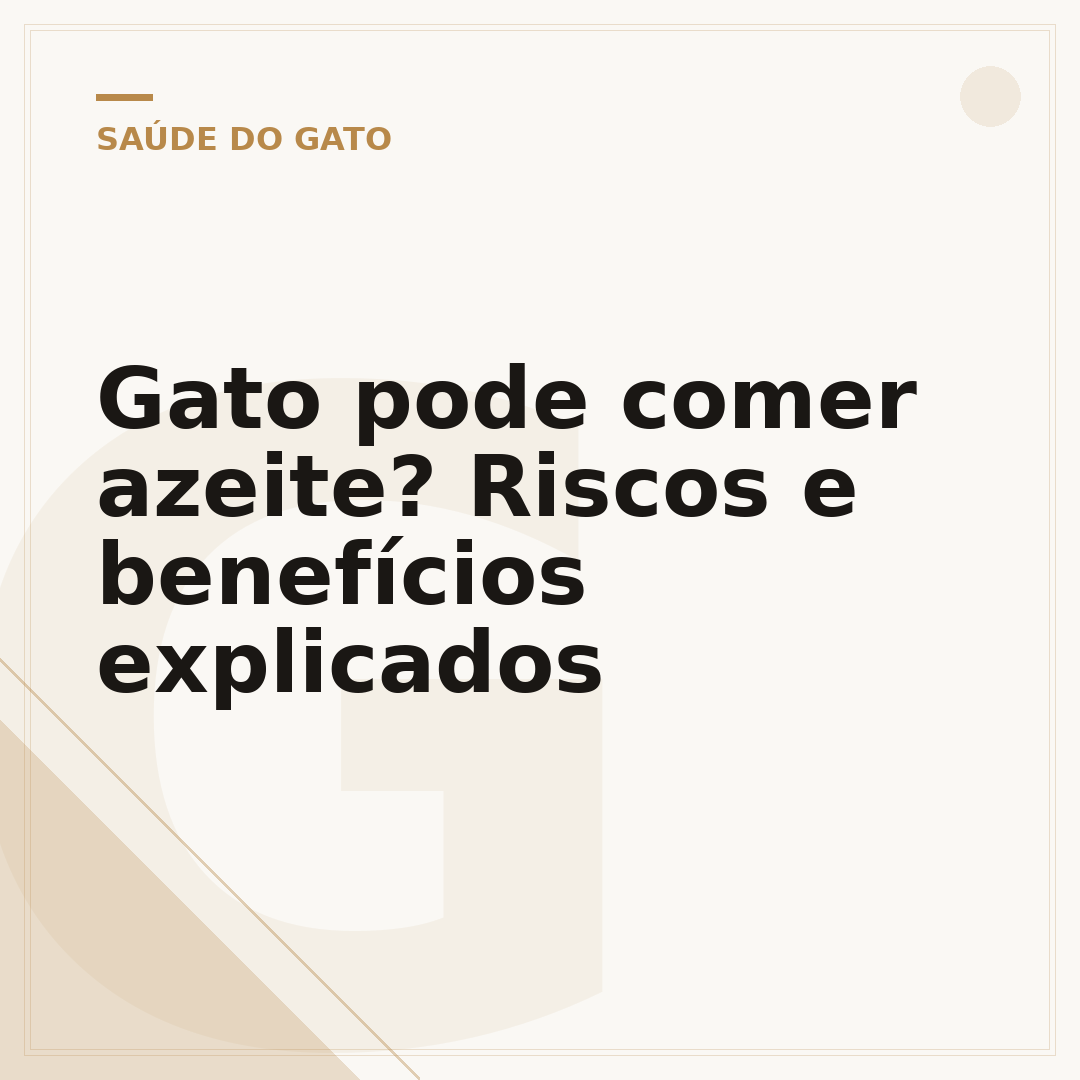 Gato pode comer azeite? Riscos e benefícios explicados