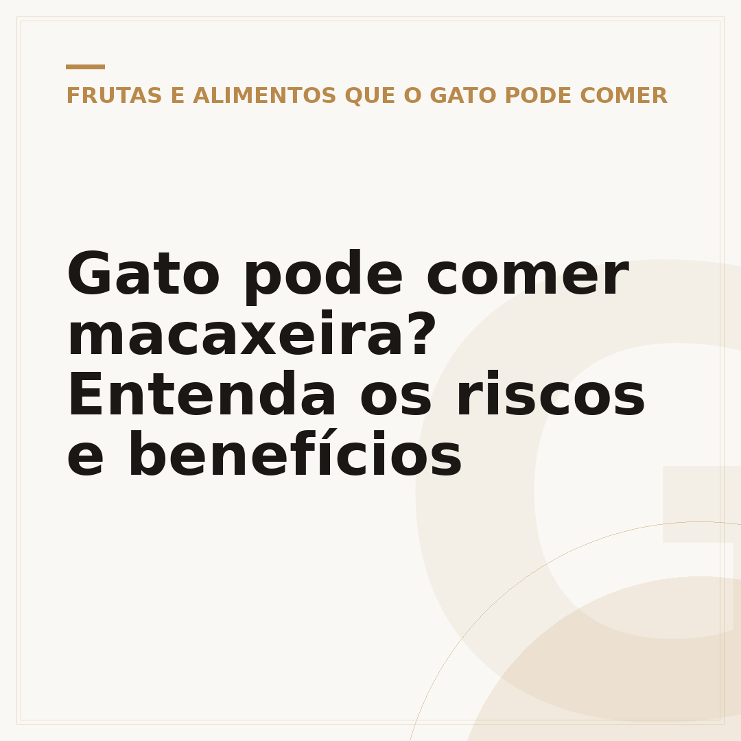 Gato pode comer macaxeira? Entenda os riscos e benefícios