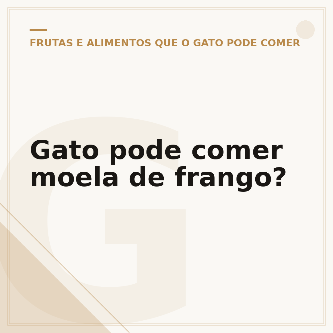 Gato pode comer moela de frango?