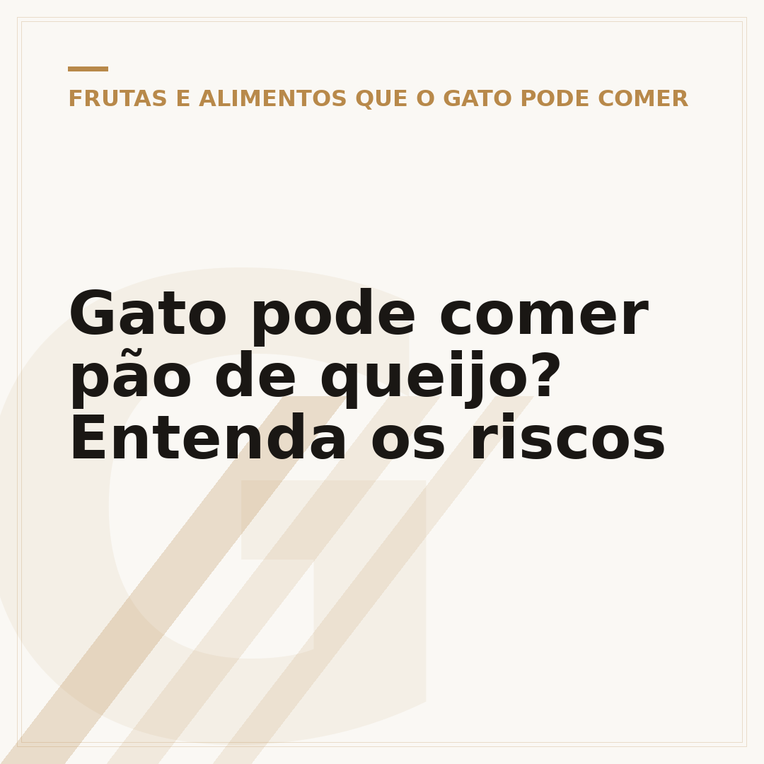 Gato pode comer pão de queijo? Entenda os riscos