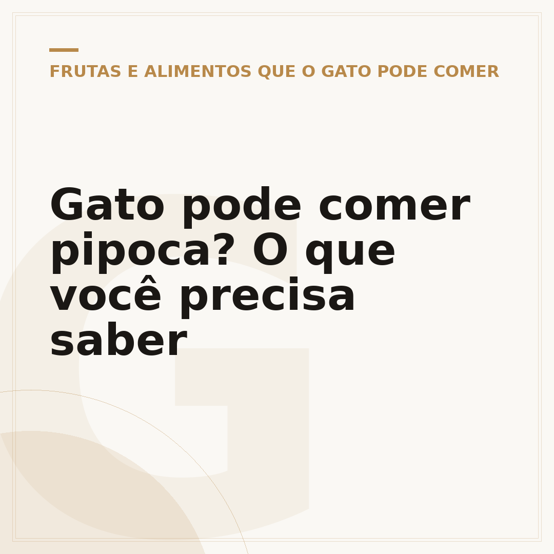 Gato pode comer pipoca? O que você precisa saber
