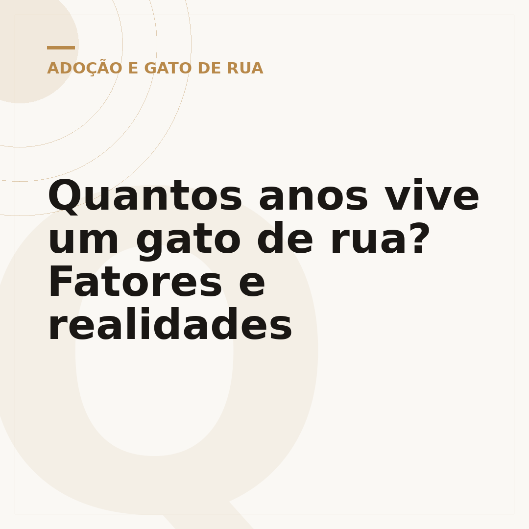 Quantos anos vive um gato de rua? Fatores e realidades
