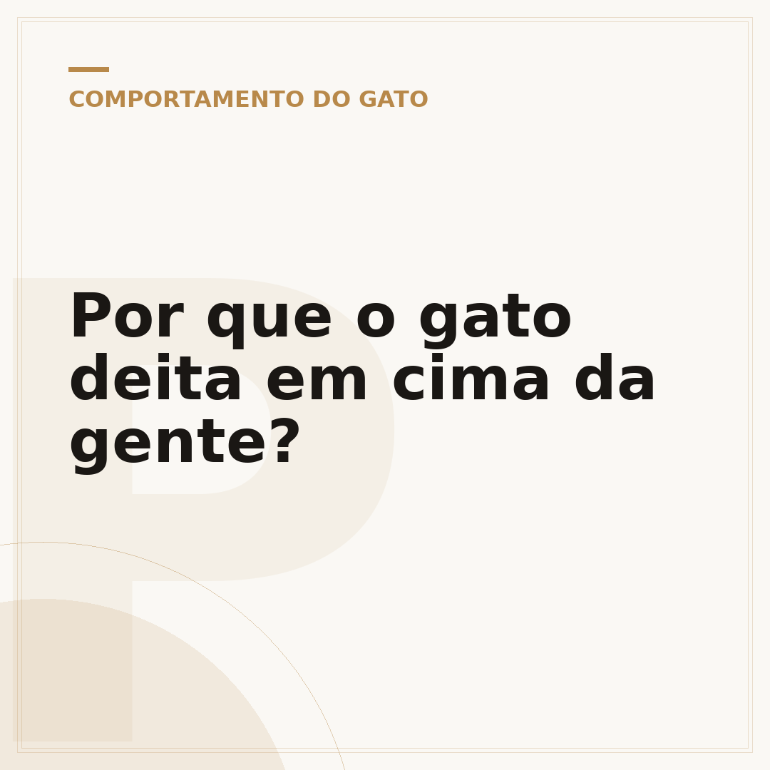 Por que o gato deita em cima da gente?
