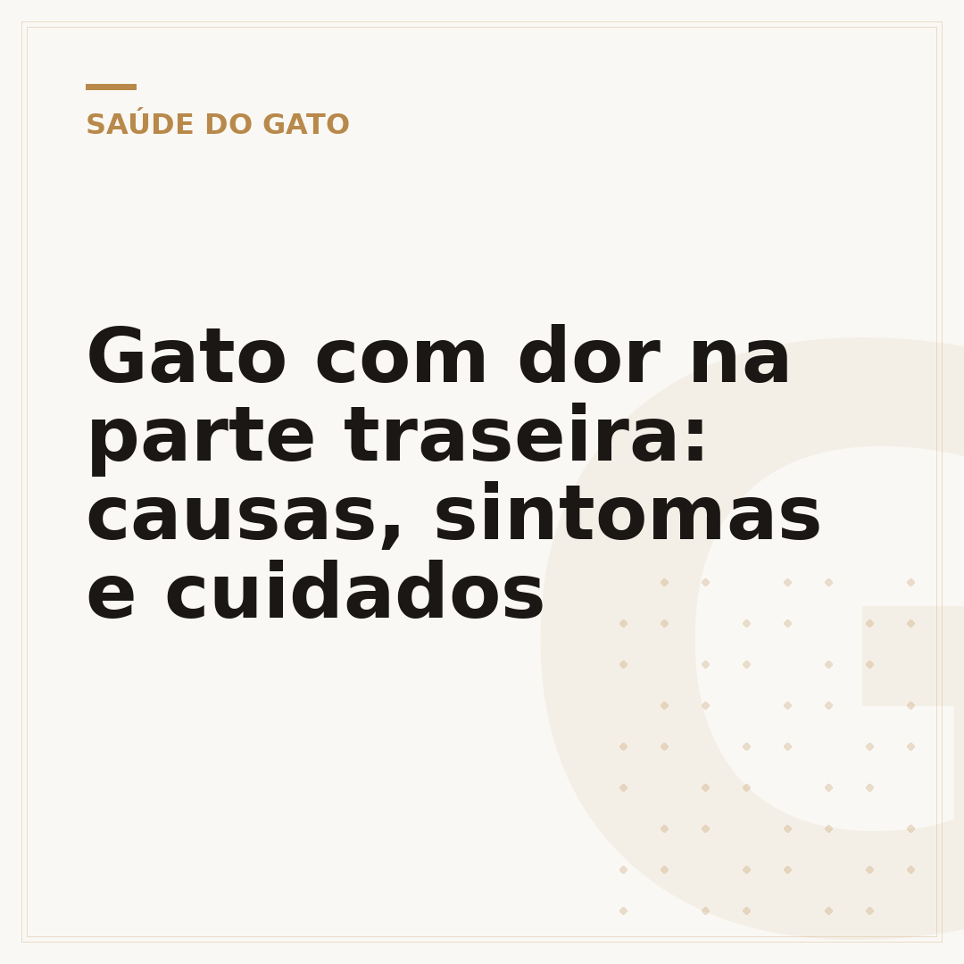 Gato com dor na parte traseira: causas, sintomas e cuidados
