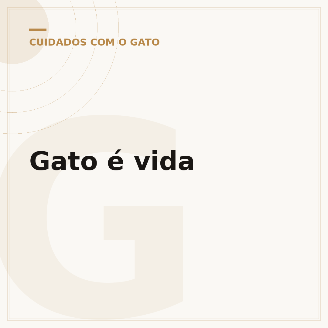 Gato é vida