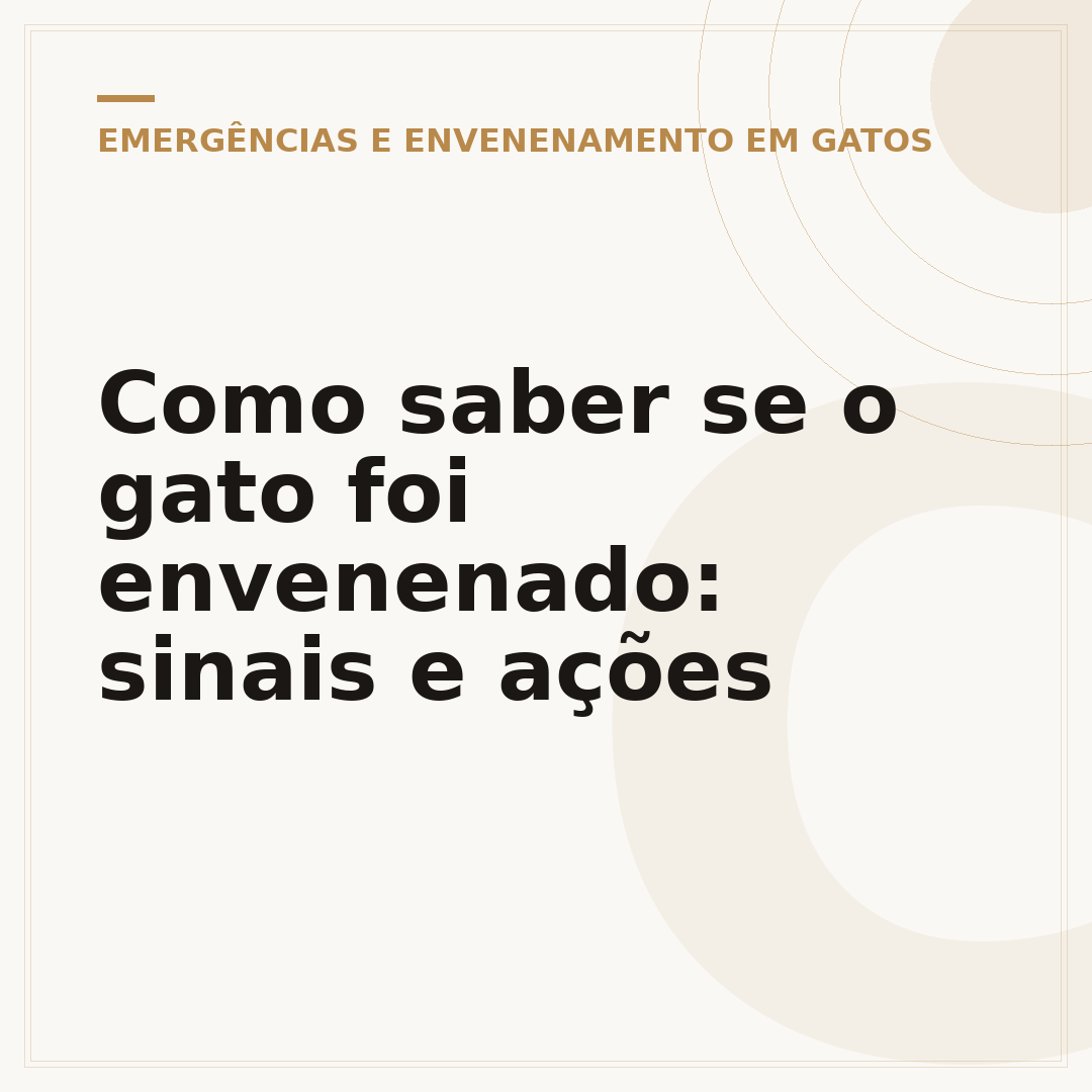 Como saber se o gato foi envenenado: sinais e ações