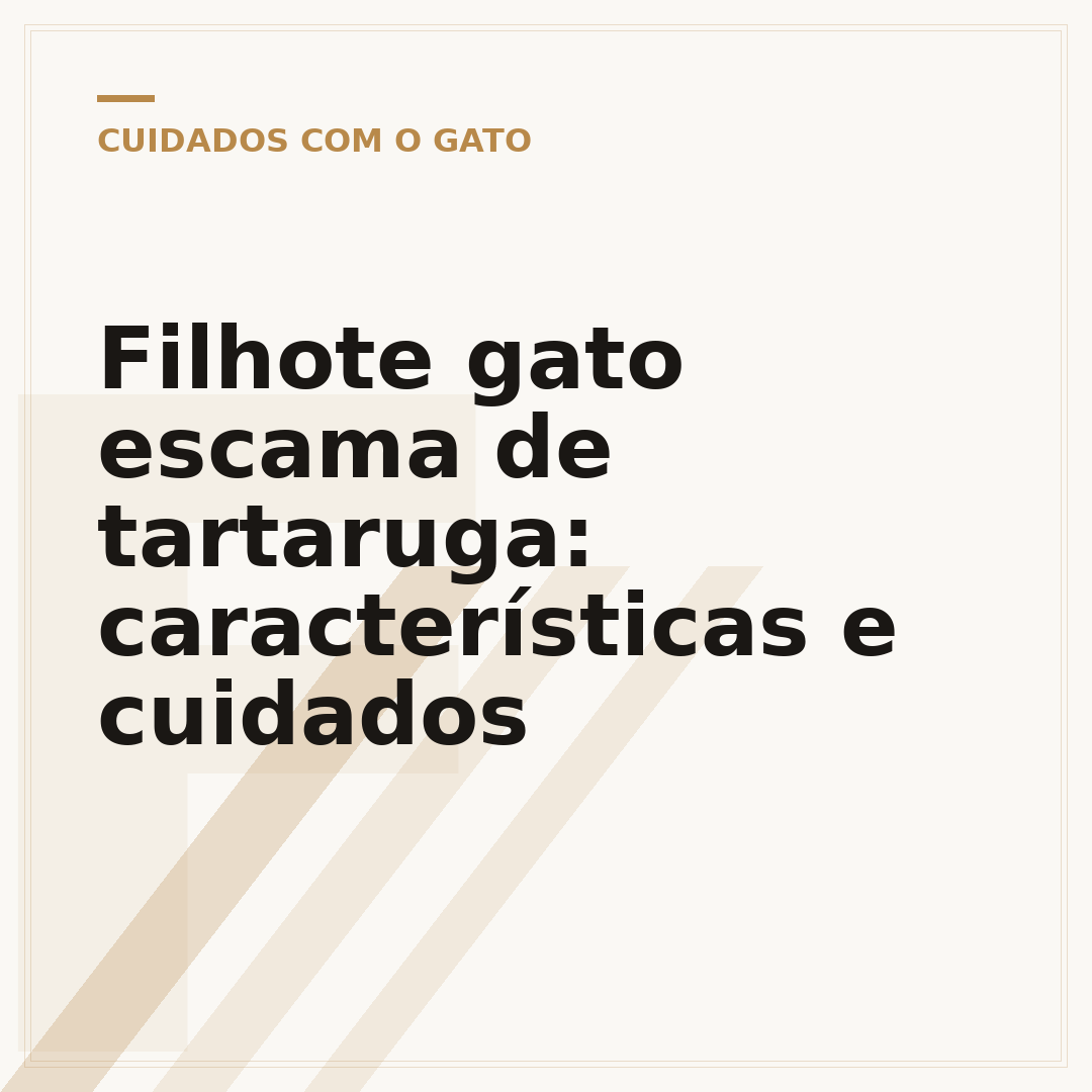 Filhote gato escama de tartaruga: características e cuidados