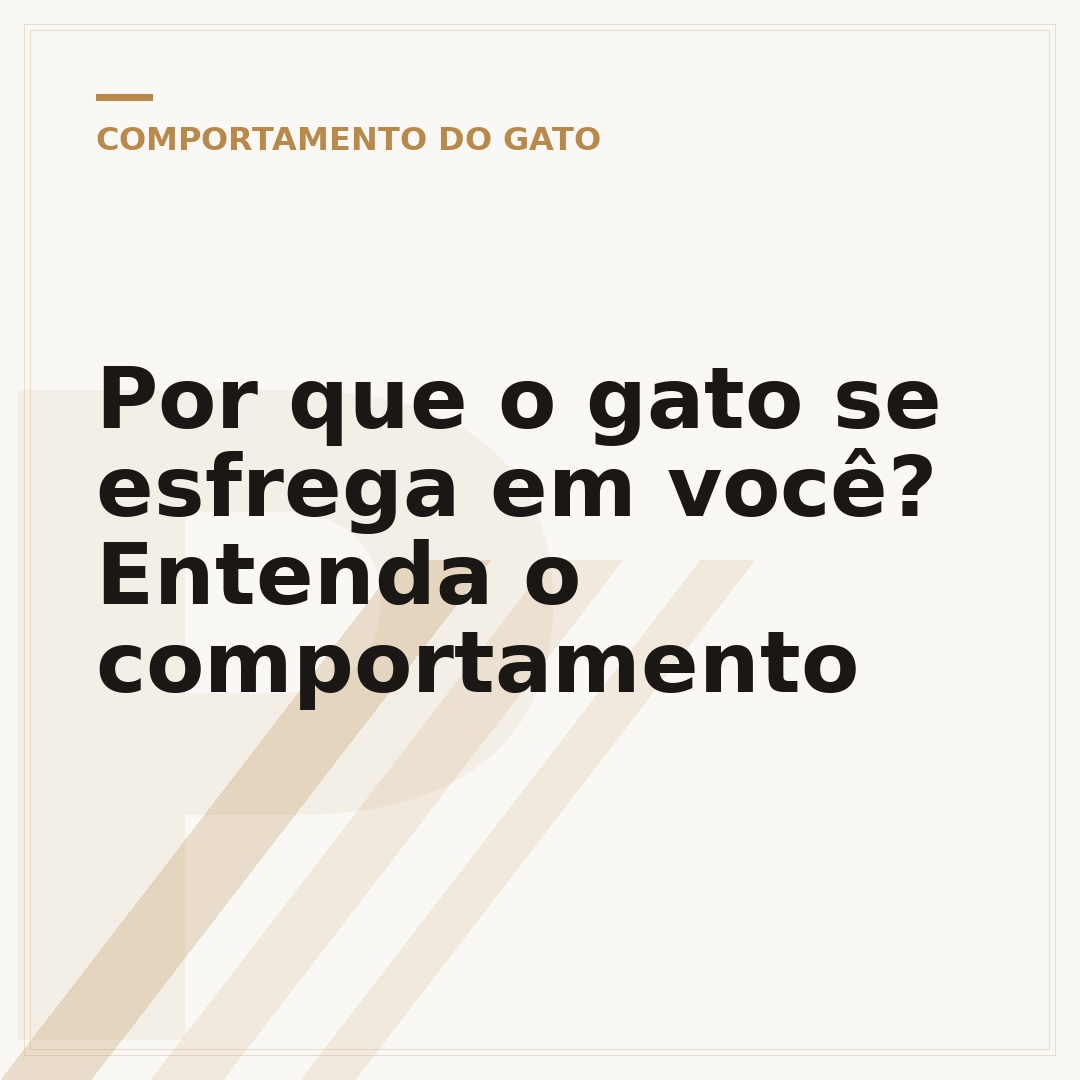 Por que o gato se esfrega em você? Entenda o comportamento