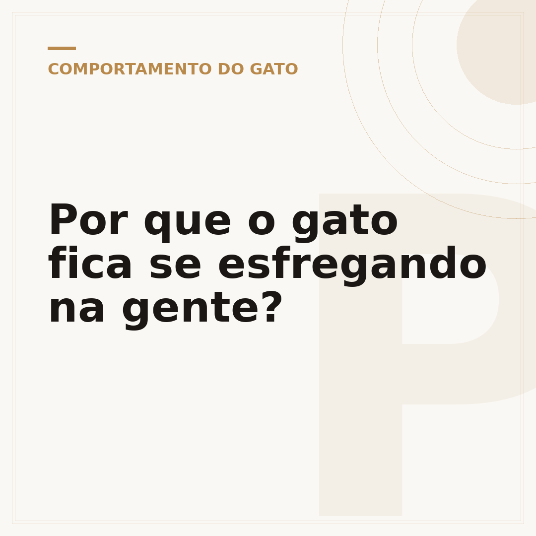Por que o gato fica se esfregando na gente?