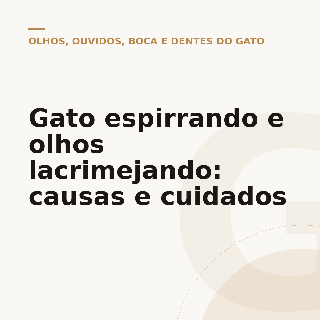 Gato espirrando e olhos lacrimejando: causas e cuidados