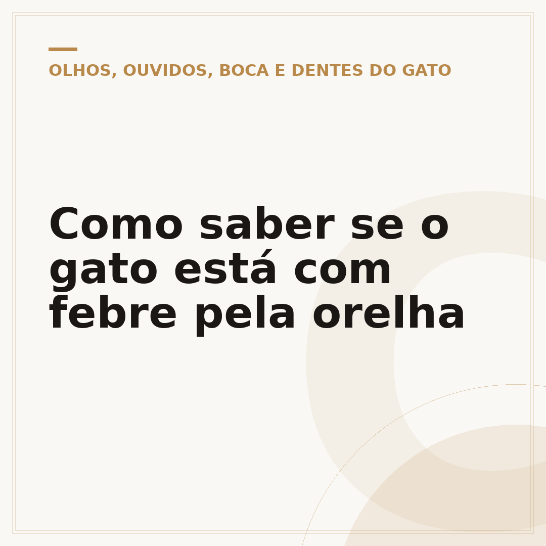 Como saber se o gato está com febre pela orelha