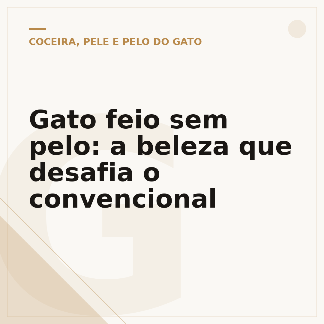 Gato feio sem pelo: a beleza que desafia o convencional