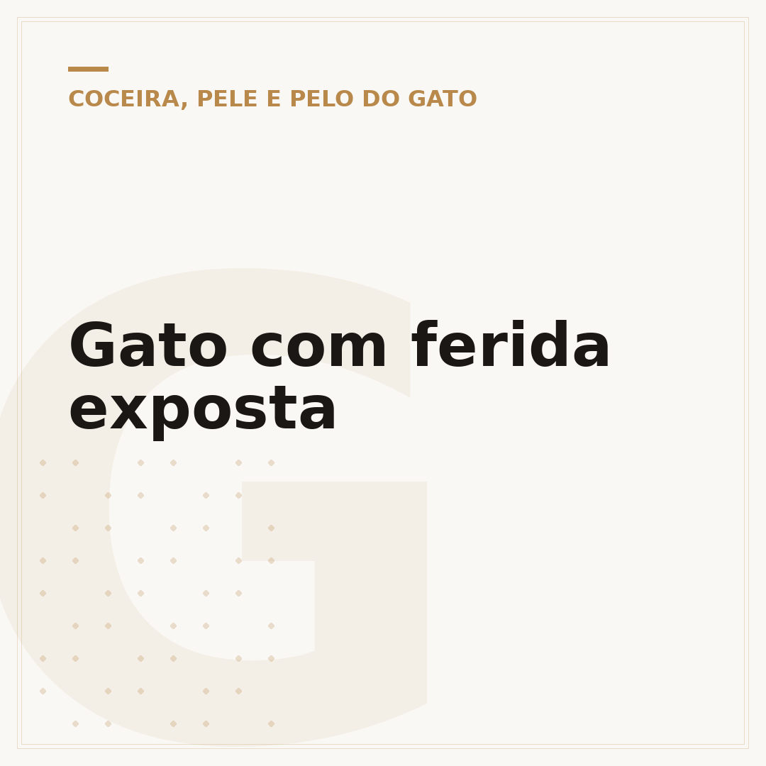 Gato com ferida exposta