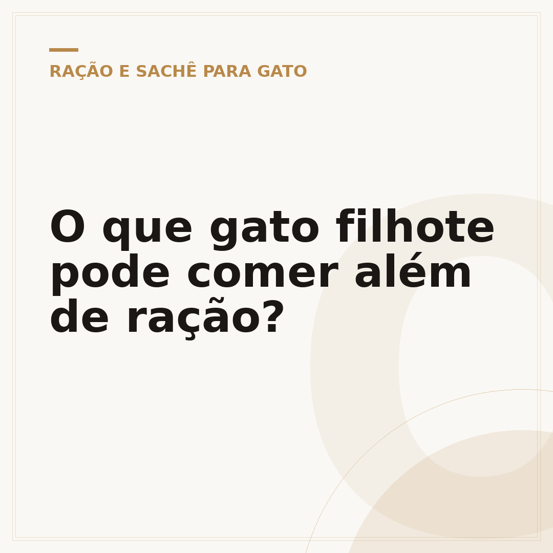 O que gato filhote pode comer além de ração?
