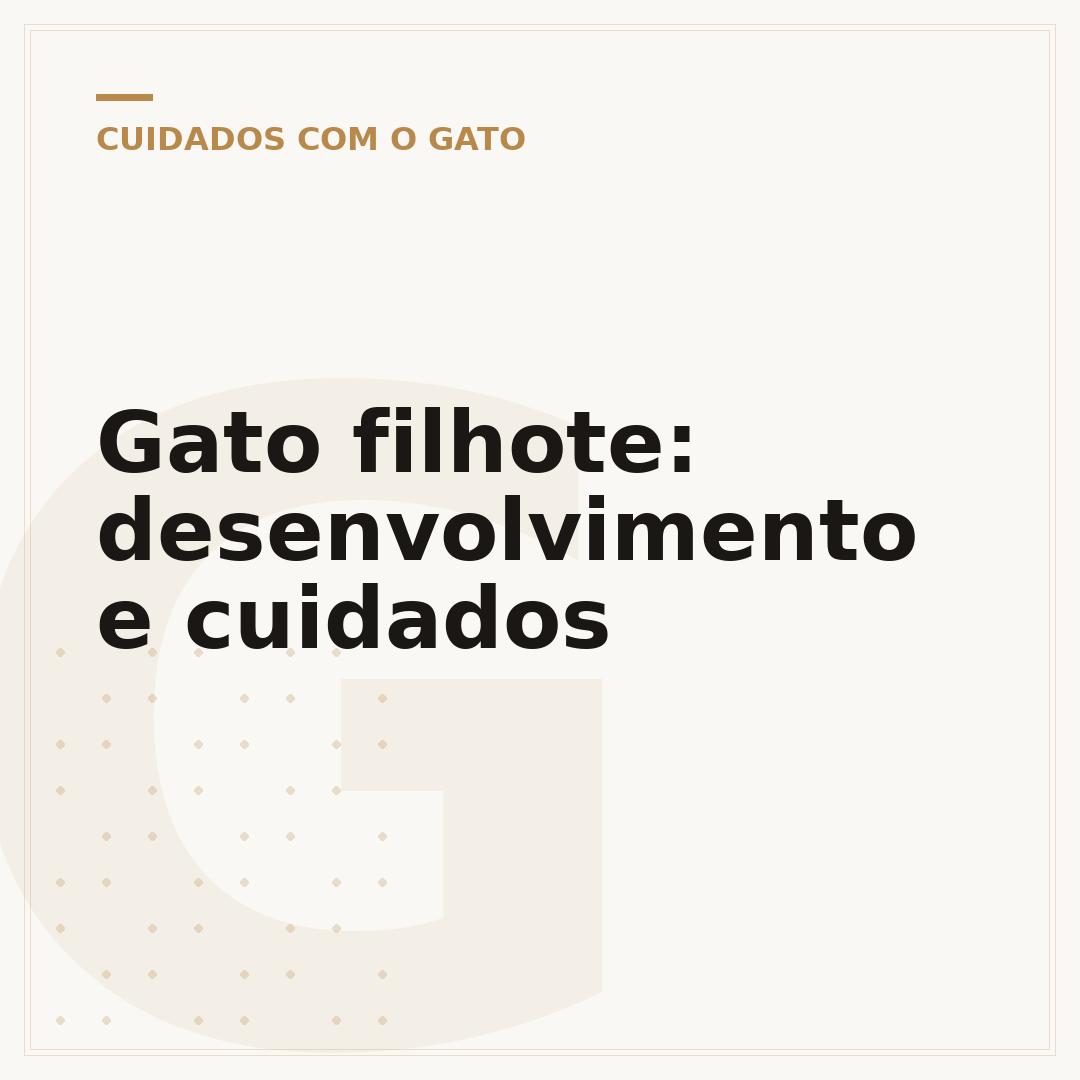 Gato filhote: desenvolvimento e cuidados