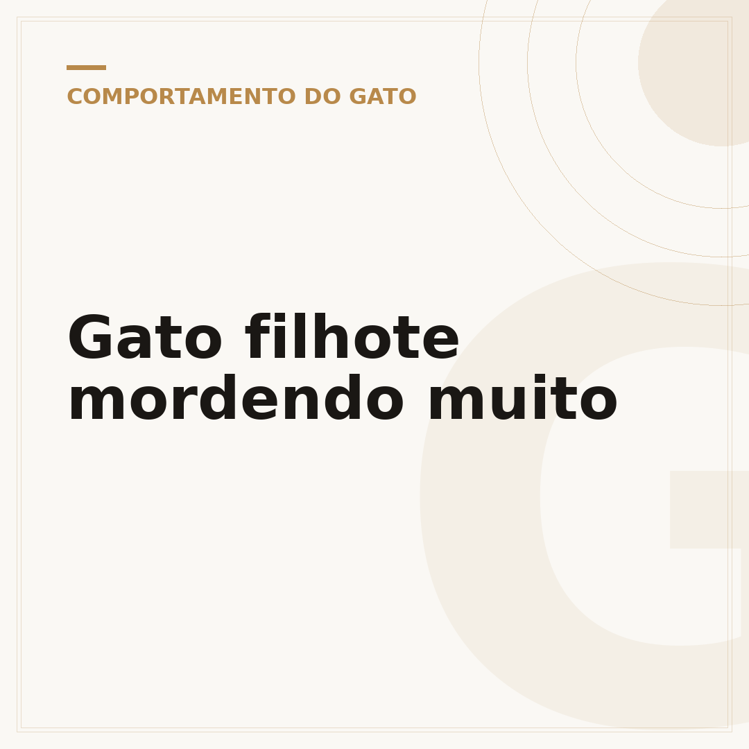 Gato filhote mordendo muito