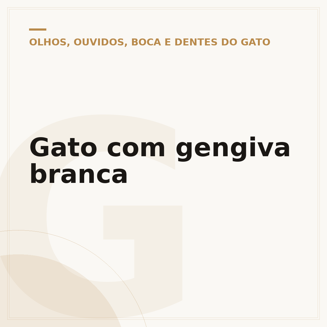 Gato com gengiva branca