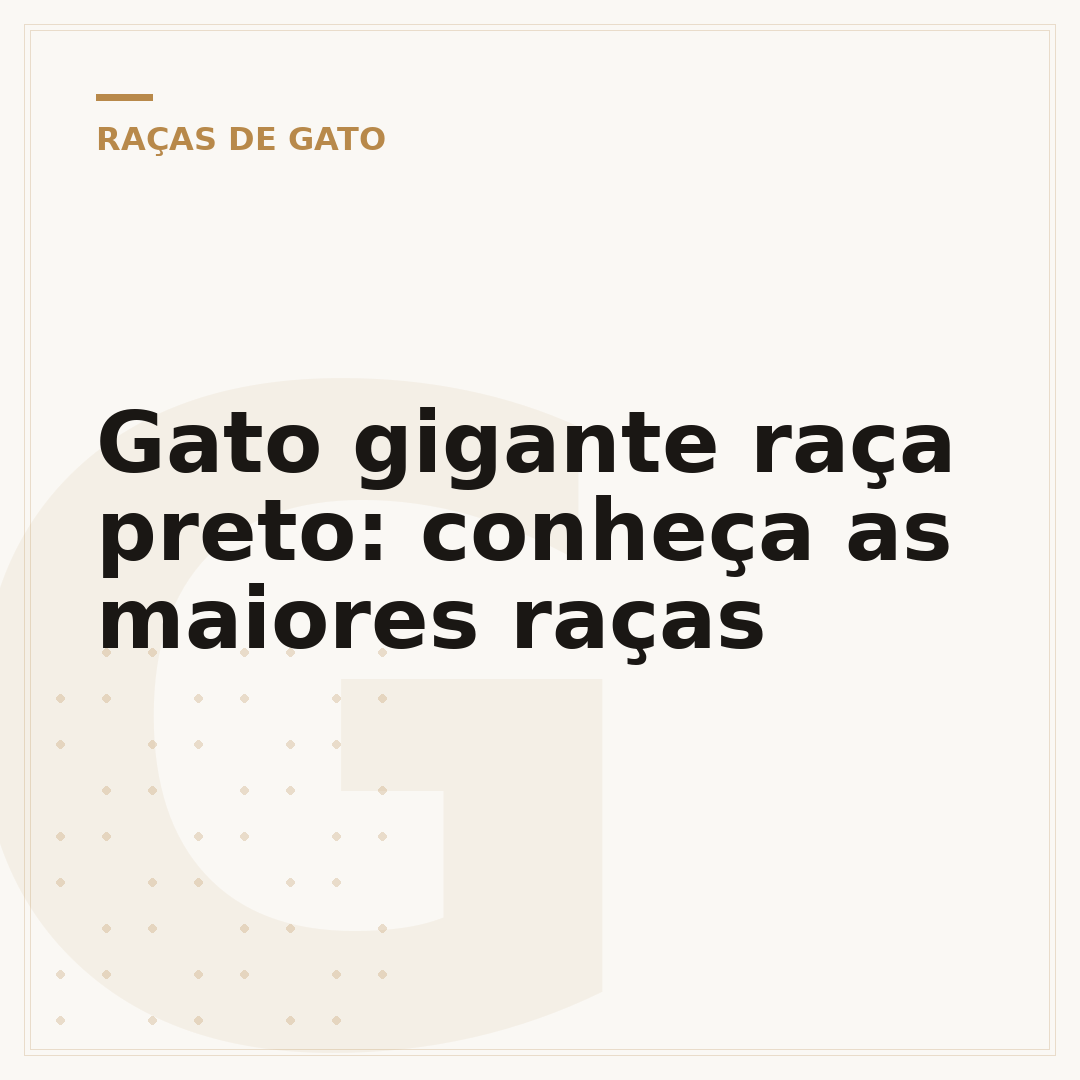 Gato gigante raça preto: conheça as maiores raças