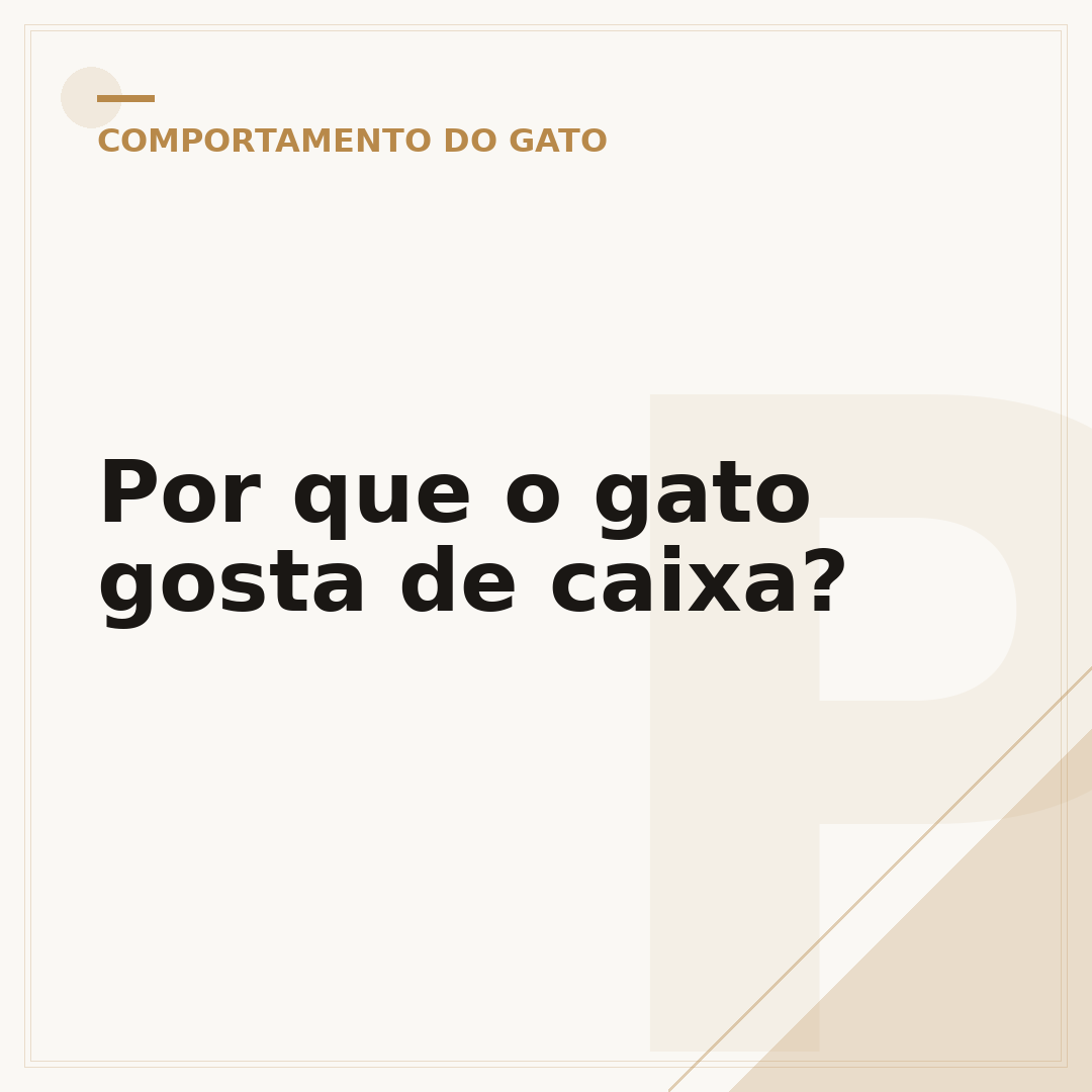 Por que o gato gosta de caixa?